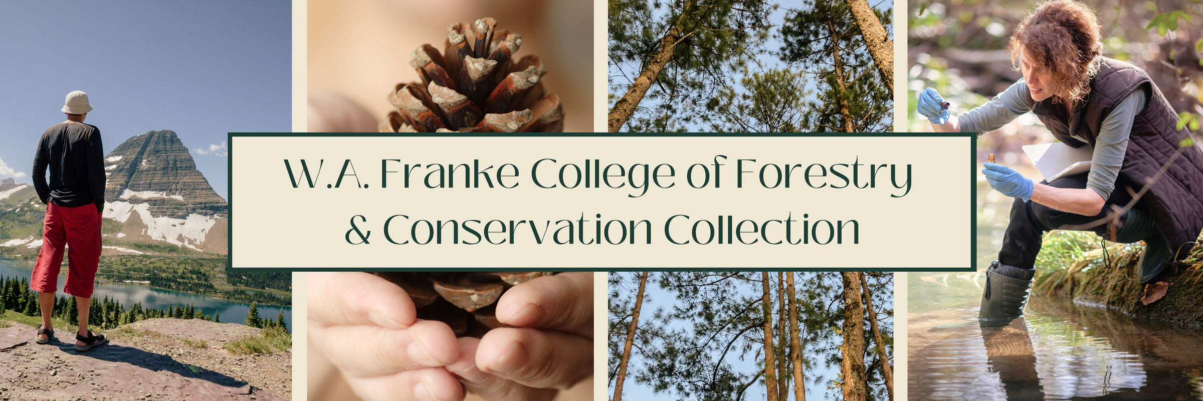 W.A. Franke College of Forestry & Conservation