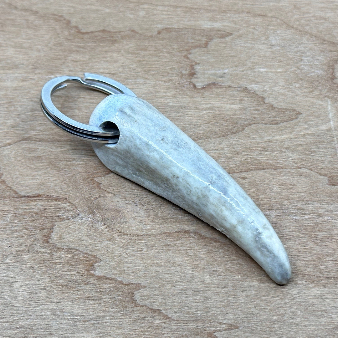 Real Antler Keychains - keychain split key ring with real antler tip in a variety of sizes - made in Montana by 406 Antlery