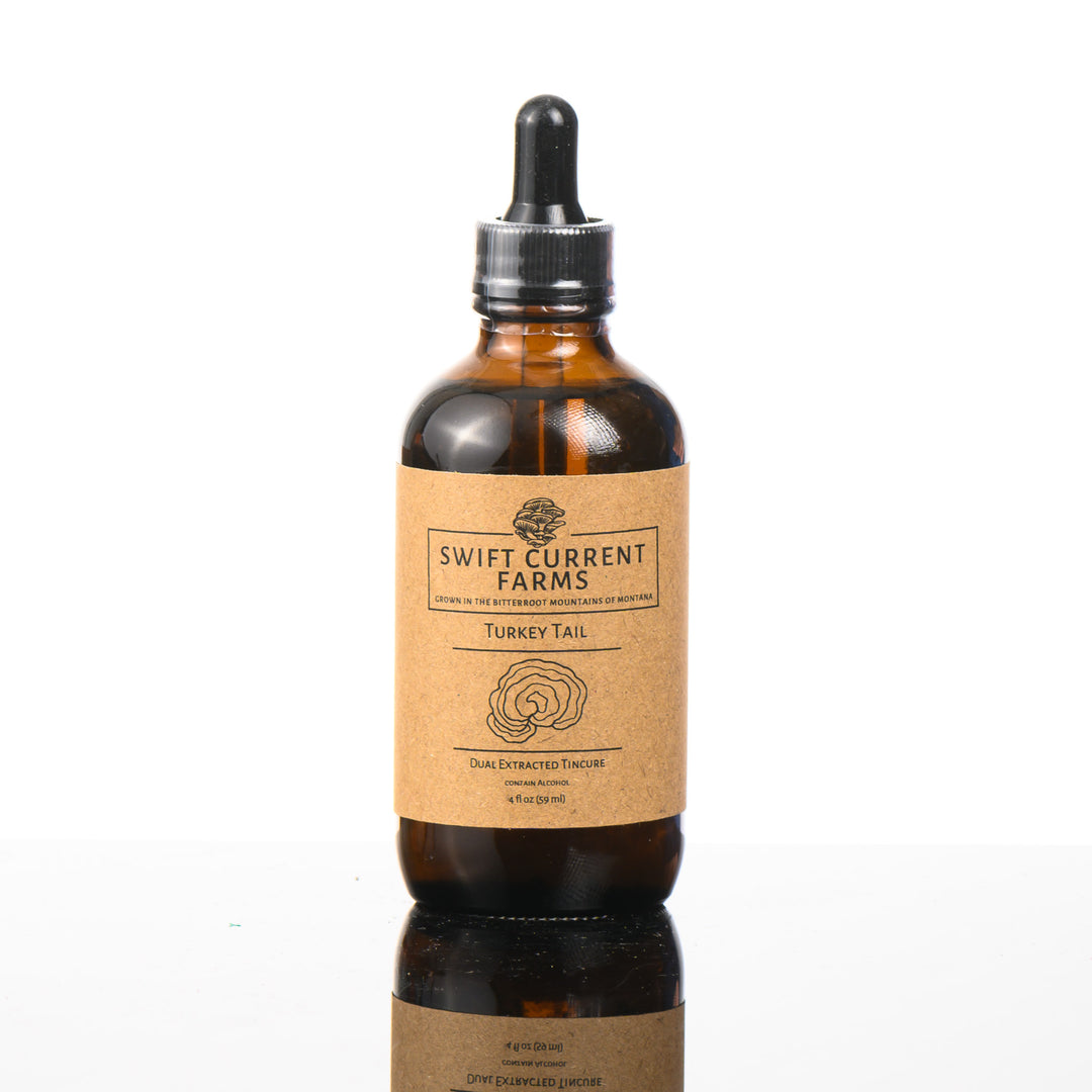 A 4oz bottle of Two bottles of turkey tail tincture made by Swift Current Farms