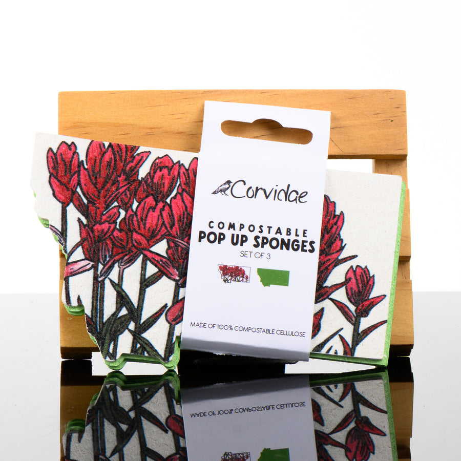 This is a three set of compostable pop up sponges in the shape of Montana, and one with a print of a drawing of Indian Paintbrush wildflowers.