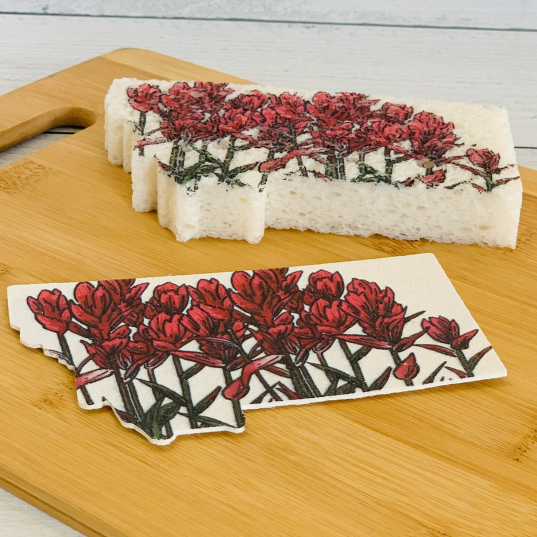 A set of made in Montana cellulose pop up sponges in the shape of Montana and printed with a hand drawn illustration of Indian paintbrush flowers. This image shows one popped up and one flat before any water has been added.