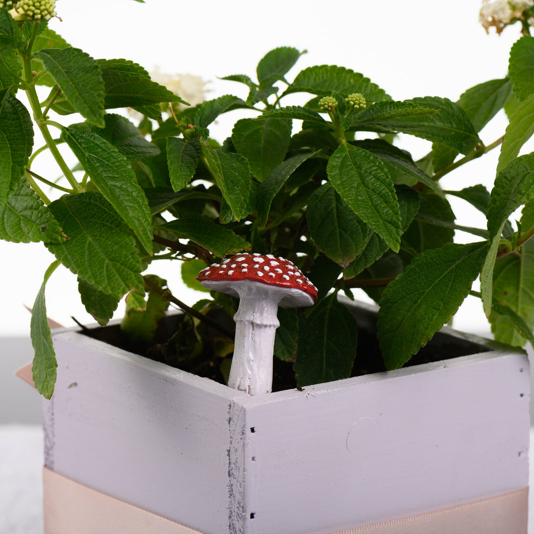 A small sculpture of an amanita mushroom in a plant box.