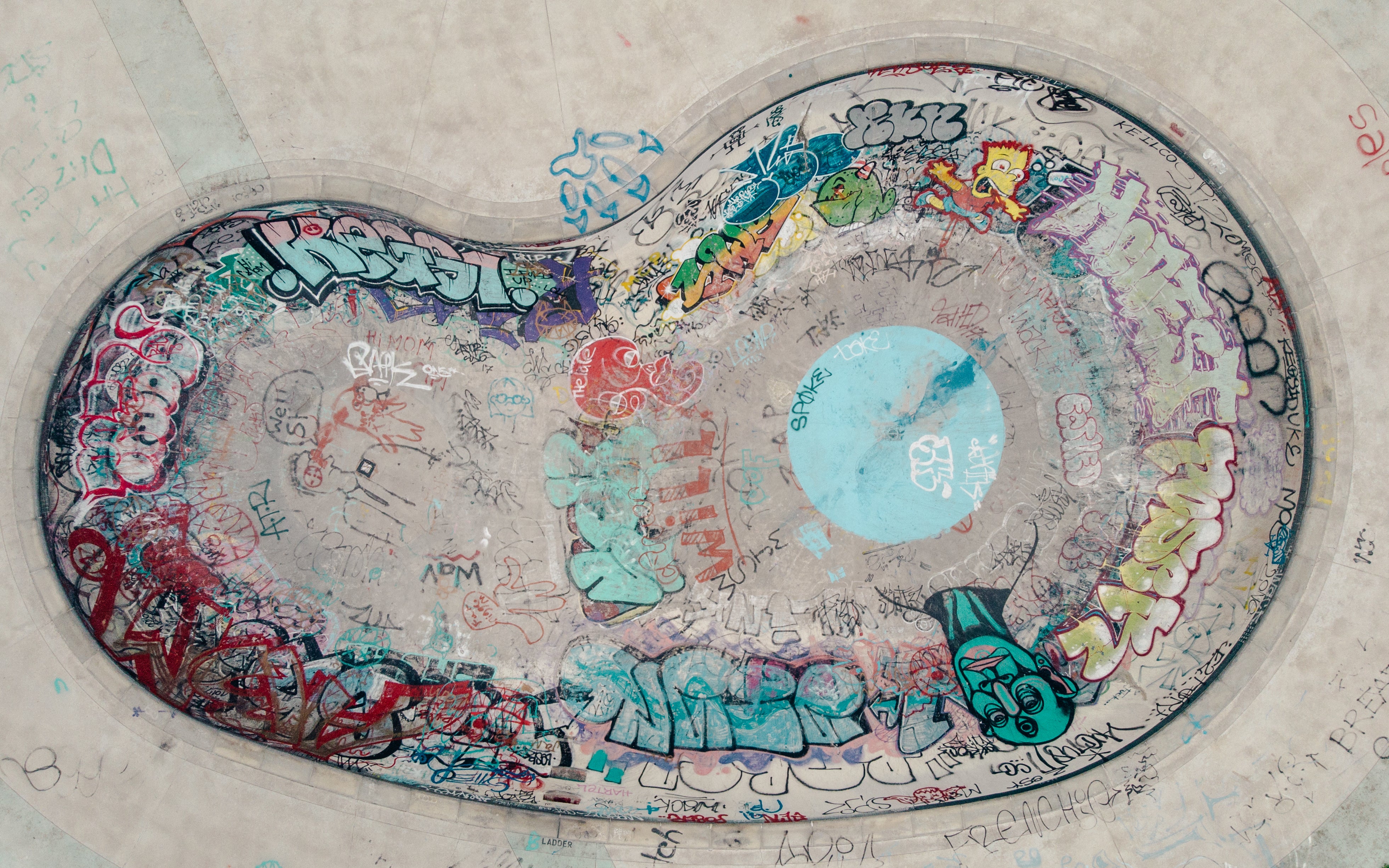 Image of empty skateboarding pool used for the 'Learn More' button on the Girls on Skate Collection-a merchandise-based fundraising collection that benefits  the nonprofit Girls on Shred available at The Last Best Store.