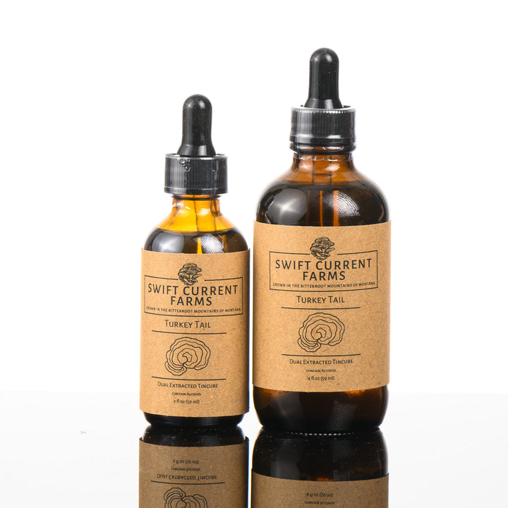 Two bottles of turkey tail tincture made by Swift Current Farms